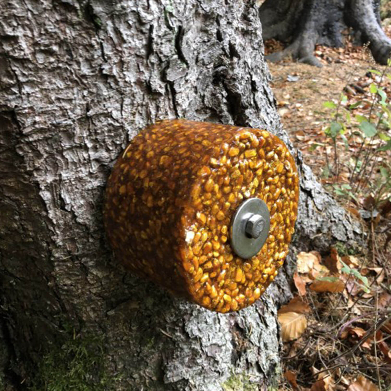  Wildlutscher Set di fissaggio per alberi per lickstones