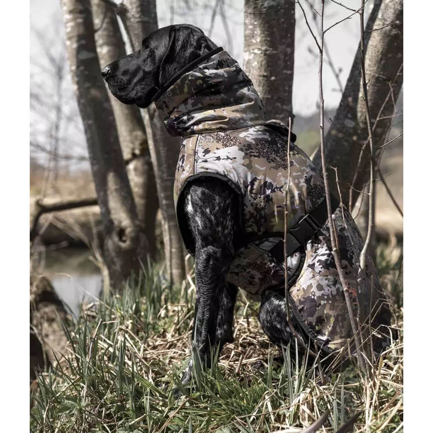  Blaser Poncho per cani (HunTec)