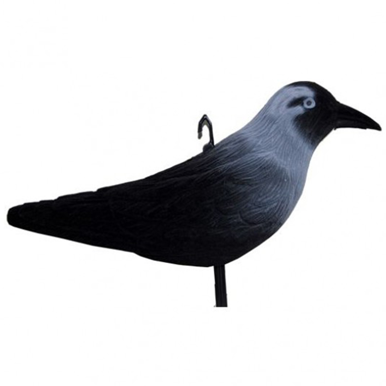 Taccola floccata 32 cm - Stampi