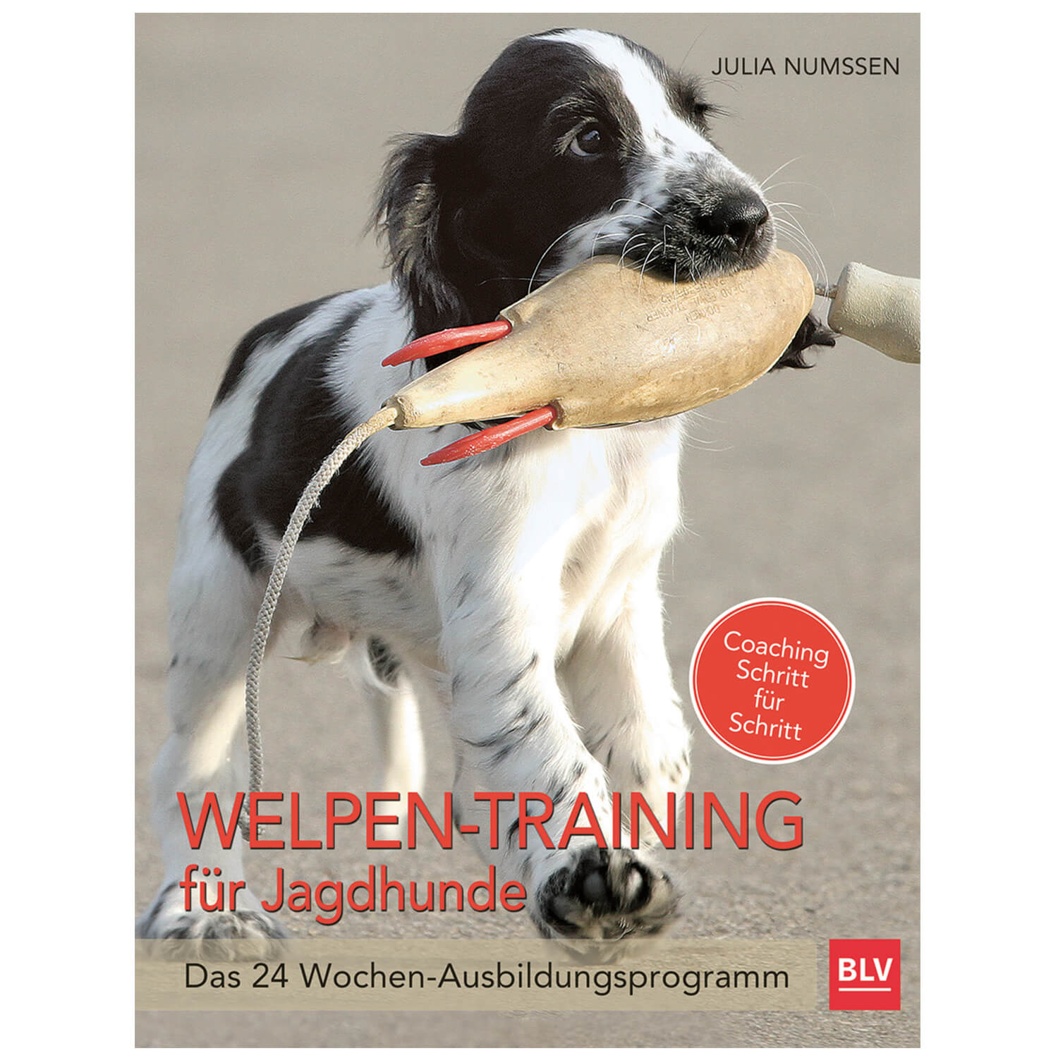  BLV Libro Addestramento dei cuccioli per cani da caccia - Addestramento e riporto