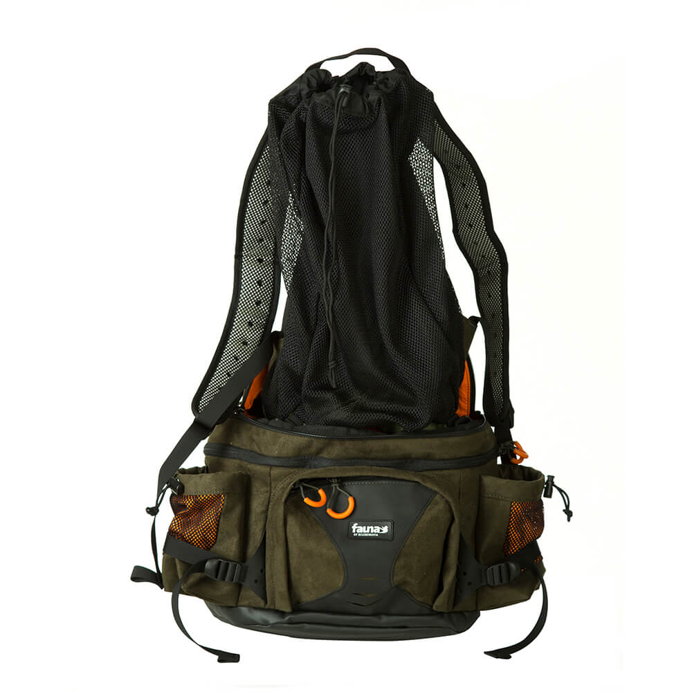  Fauna Borsa dell'anca 12 Anca