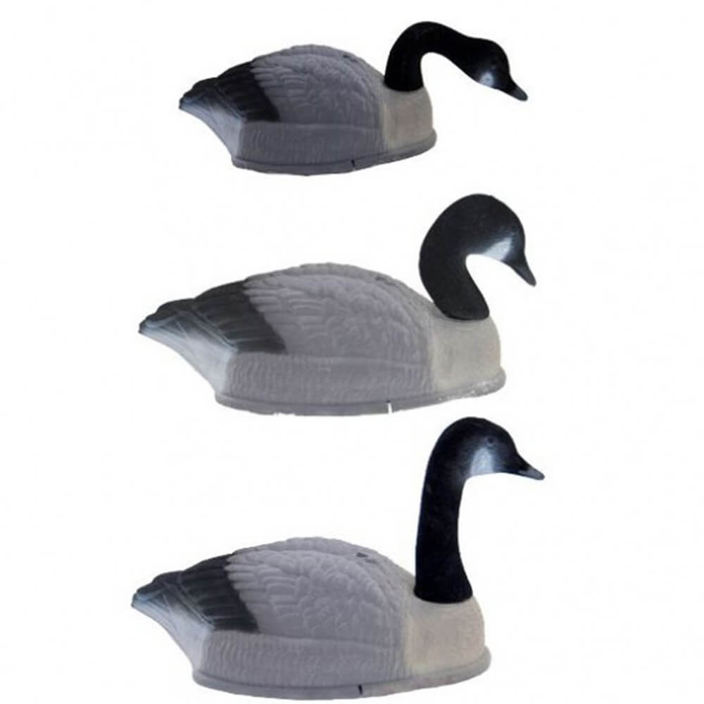 Serratura Canada Goose - Mezza conchiglia - Caccia alle oche