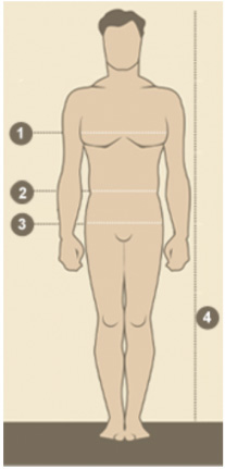 Body measurements – man
