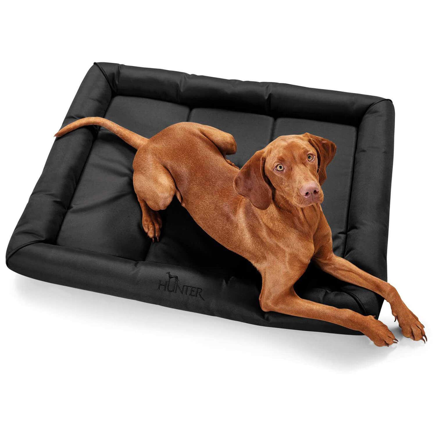  Hunter Tappeto per cani Vermont (nero)