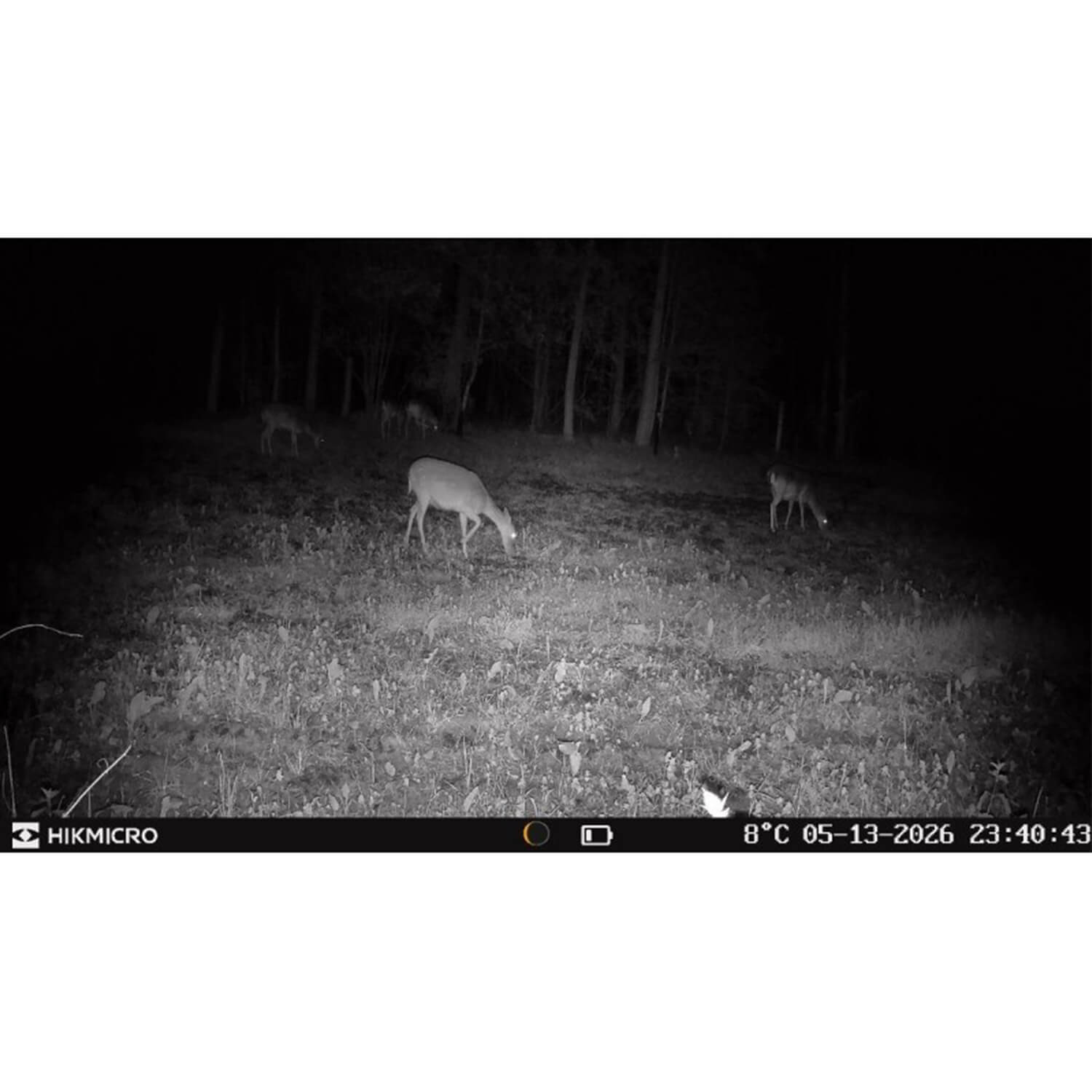 Hikmicro Wildkamera T16