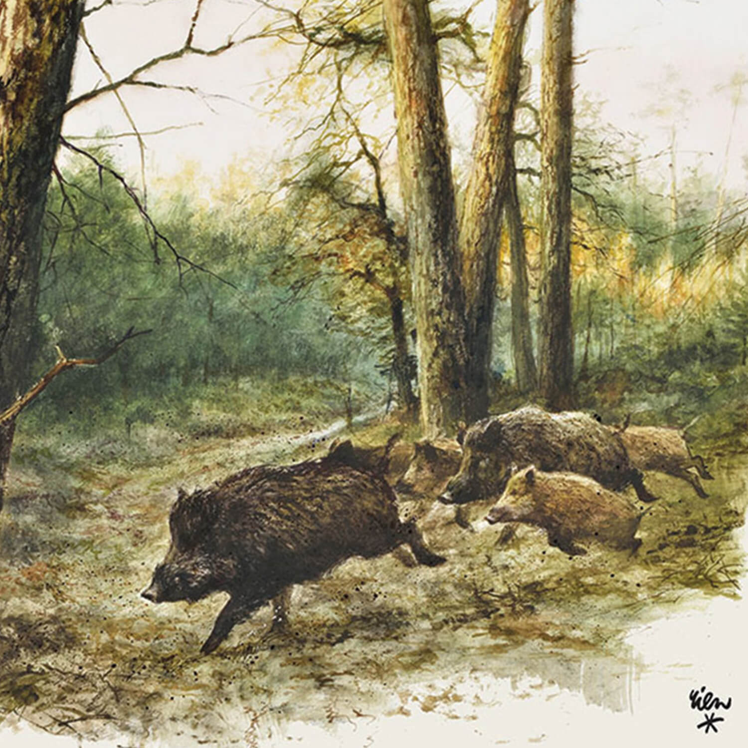  Akah Tovaglioli cinghiale - Attrezzatura da caccia
