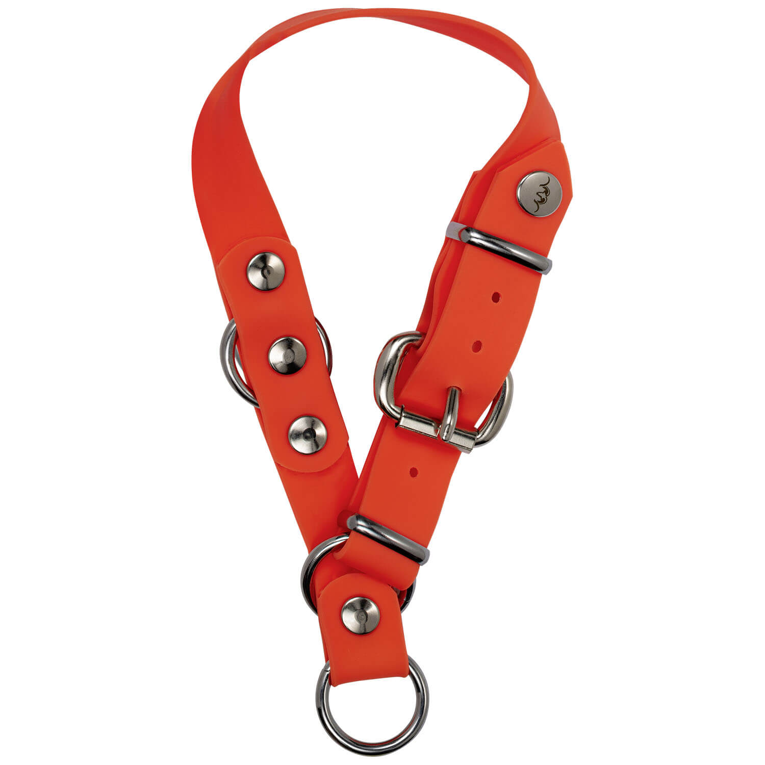  Blaser Collare professionale per cani (arancione)
