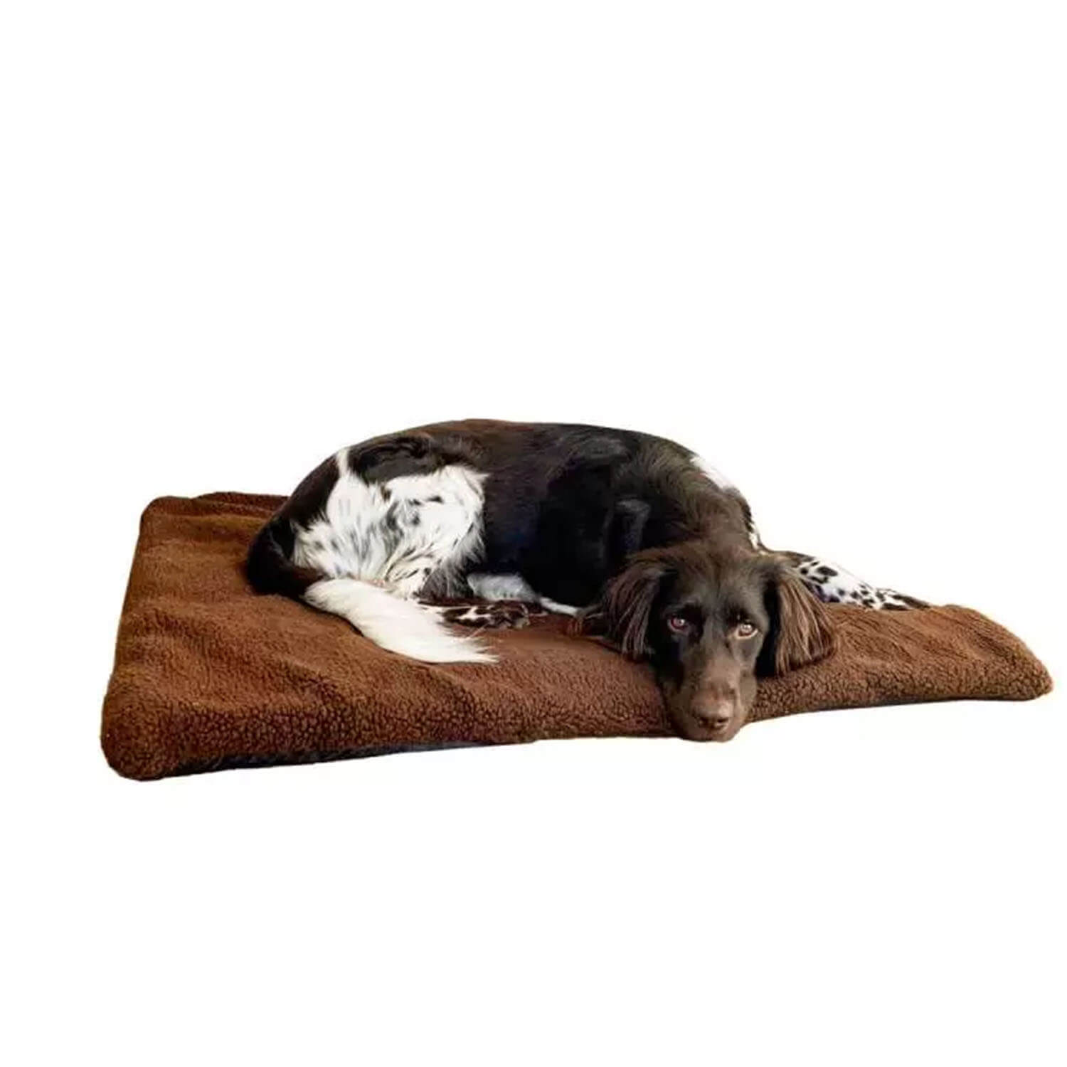  Blaser Logo della coperta per cani