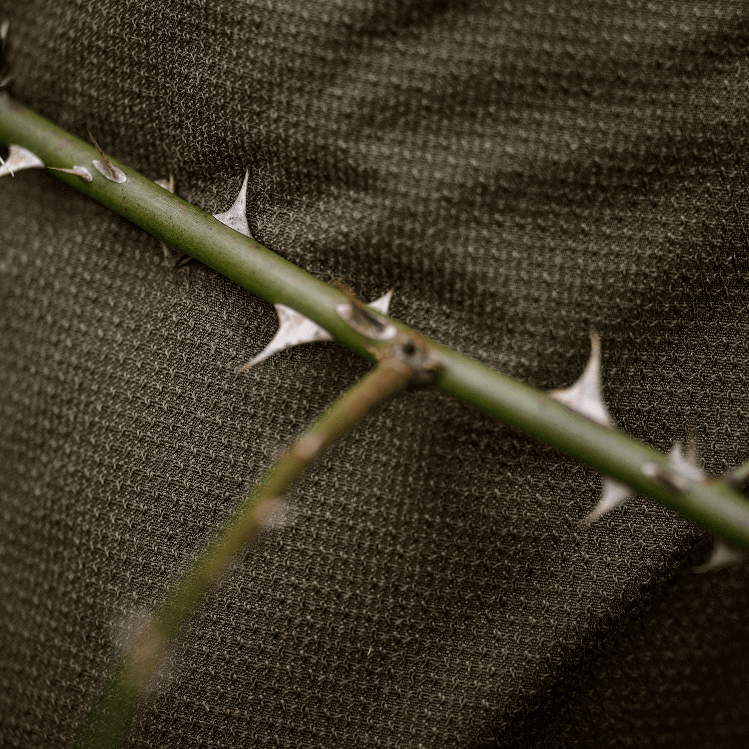 Härkila Jagdhose Vigor Pro Hybrid (Golden Willow Green)