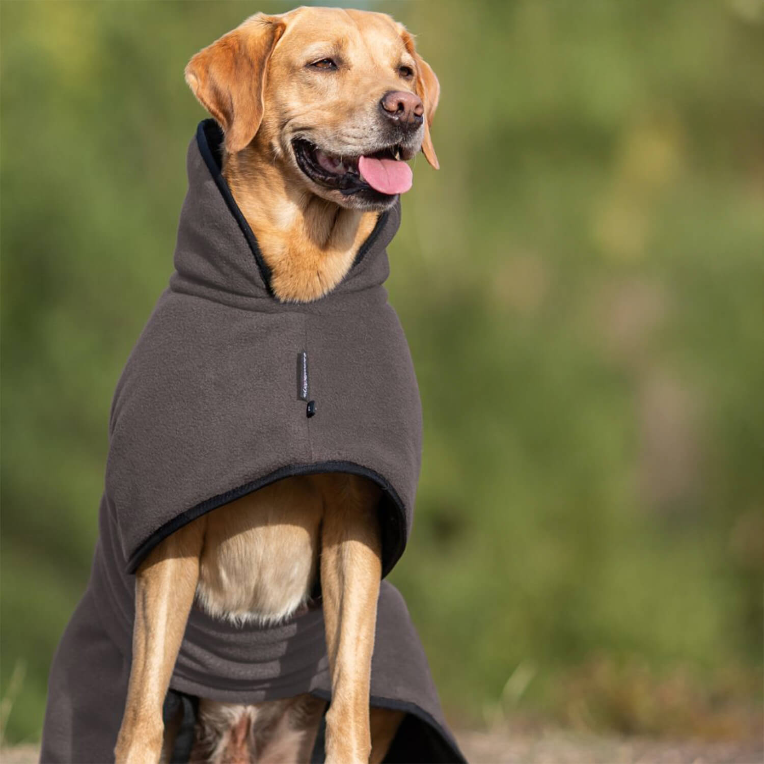 Mantellina per cani Actionfactory Warmup Classic (moka)