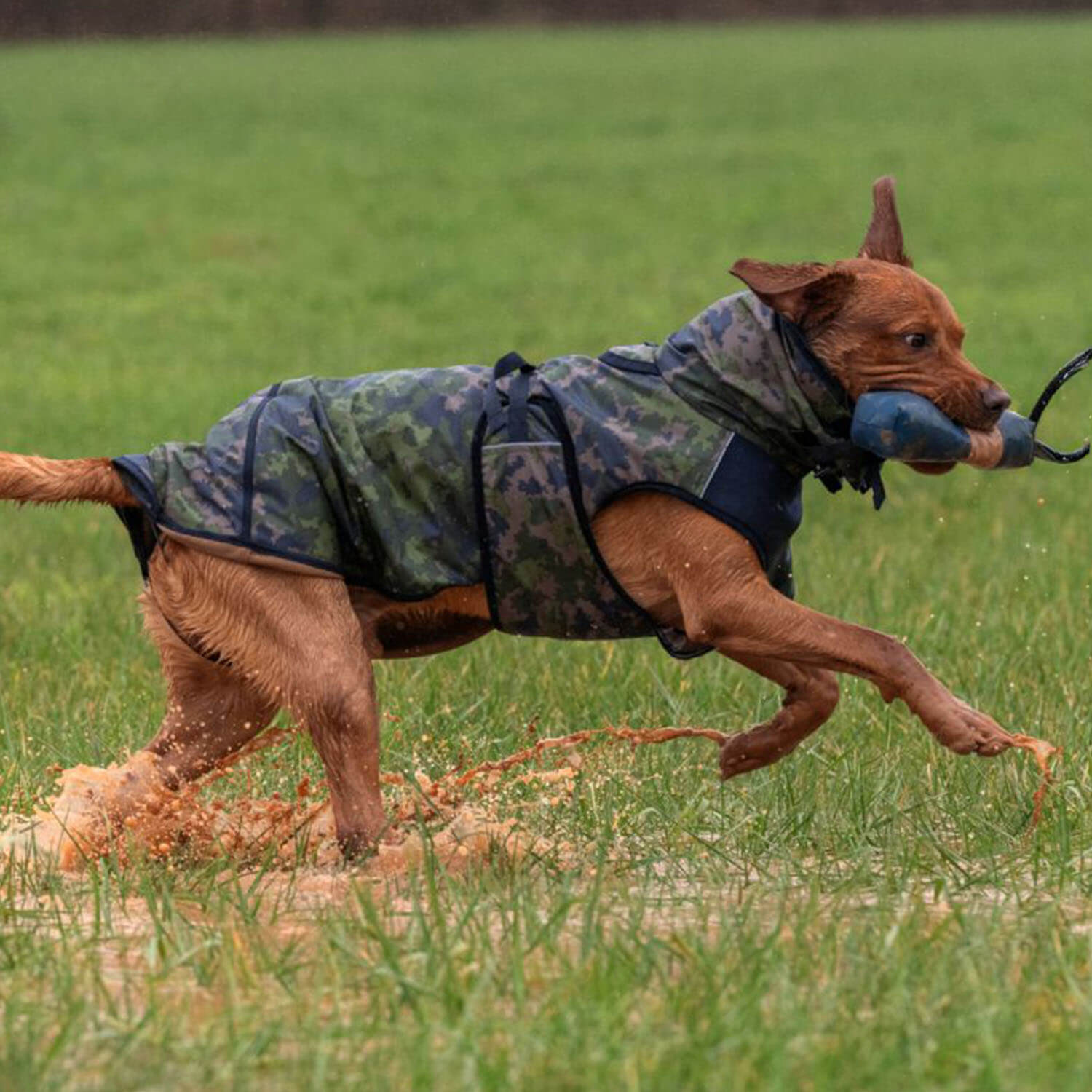 Mantellina per cani Actionfactory Elastic Light (Camo)