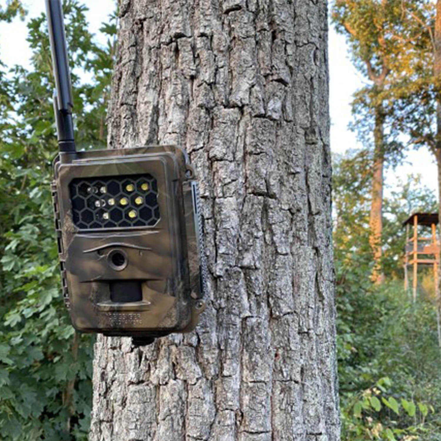 Seissiger wildcamera Special-Cam LTE met witte flits Supersim
