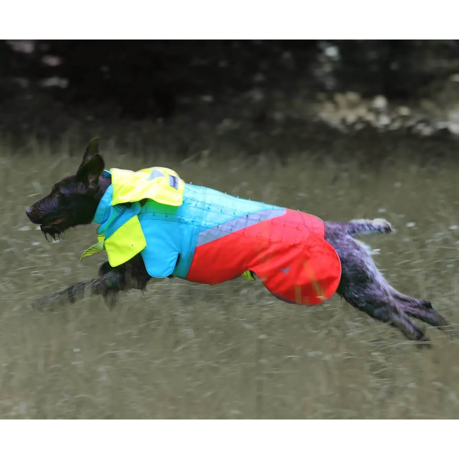 Lupo a prova di zanna corpetto protettivo per cani  - Gilet protettivi per cani