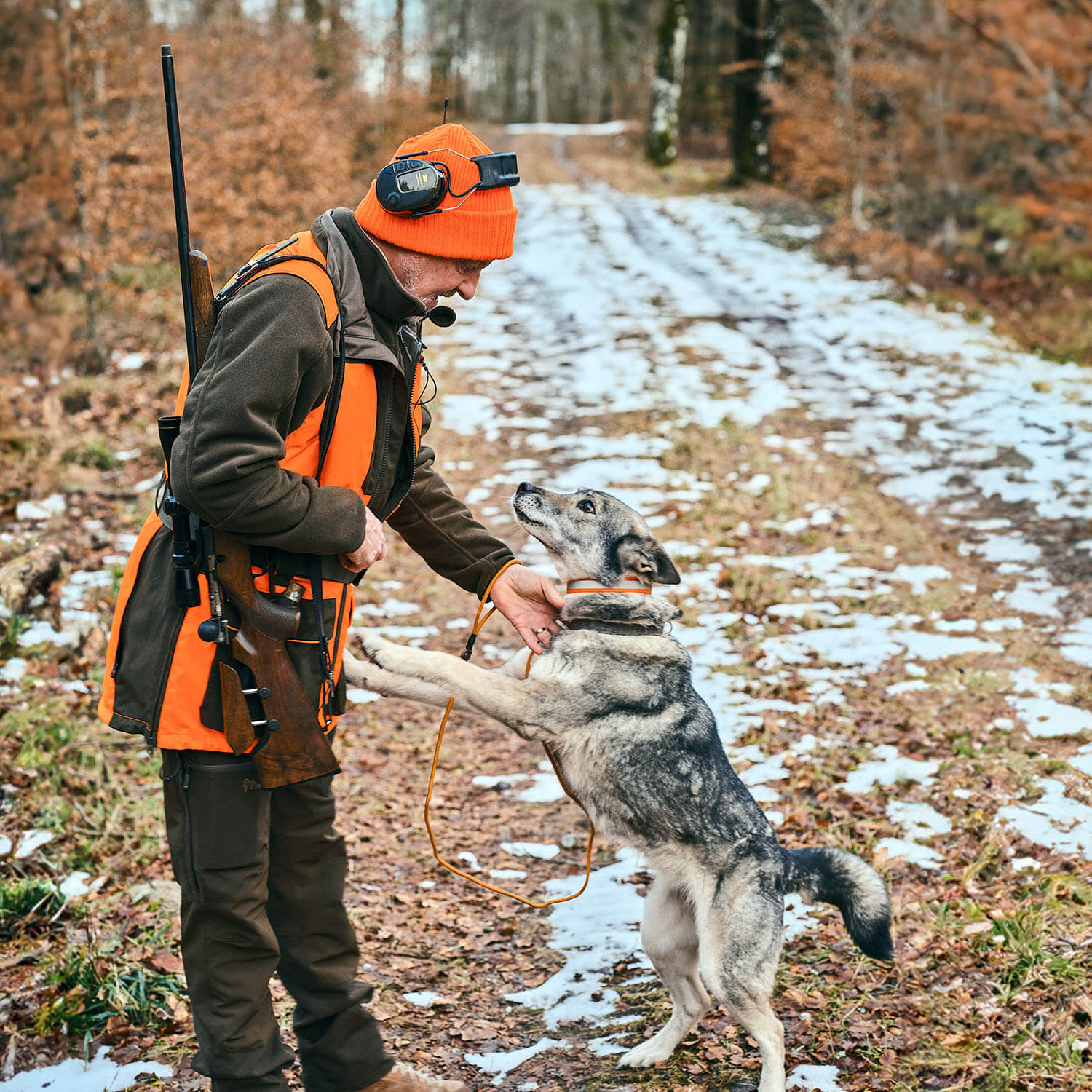  Pinewood Gilet per conduttore di cani Furudal