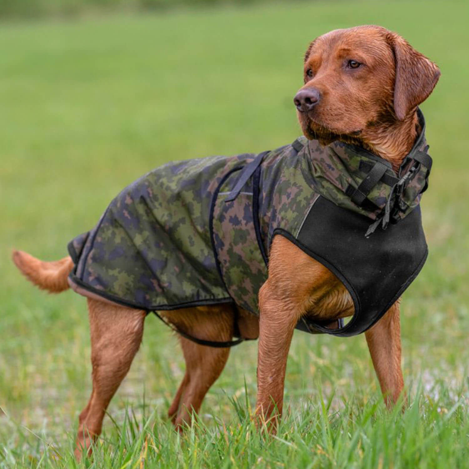 Mantellina per cani Actionfactory Elastic Light (Camo) - Accessori per cani