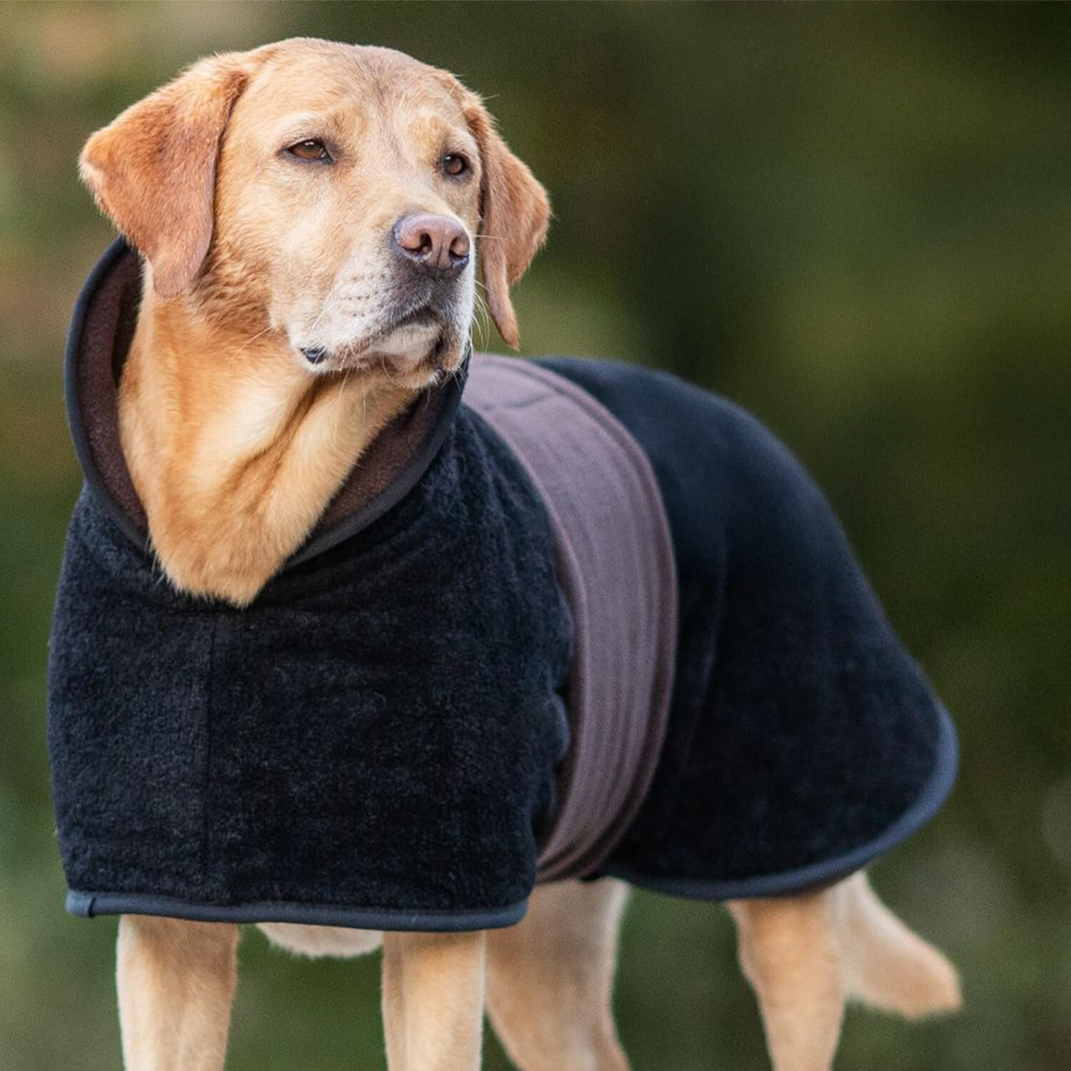 Mantellina per cani Actionfactory Warmup Classic (moka)
