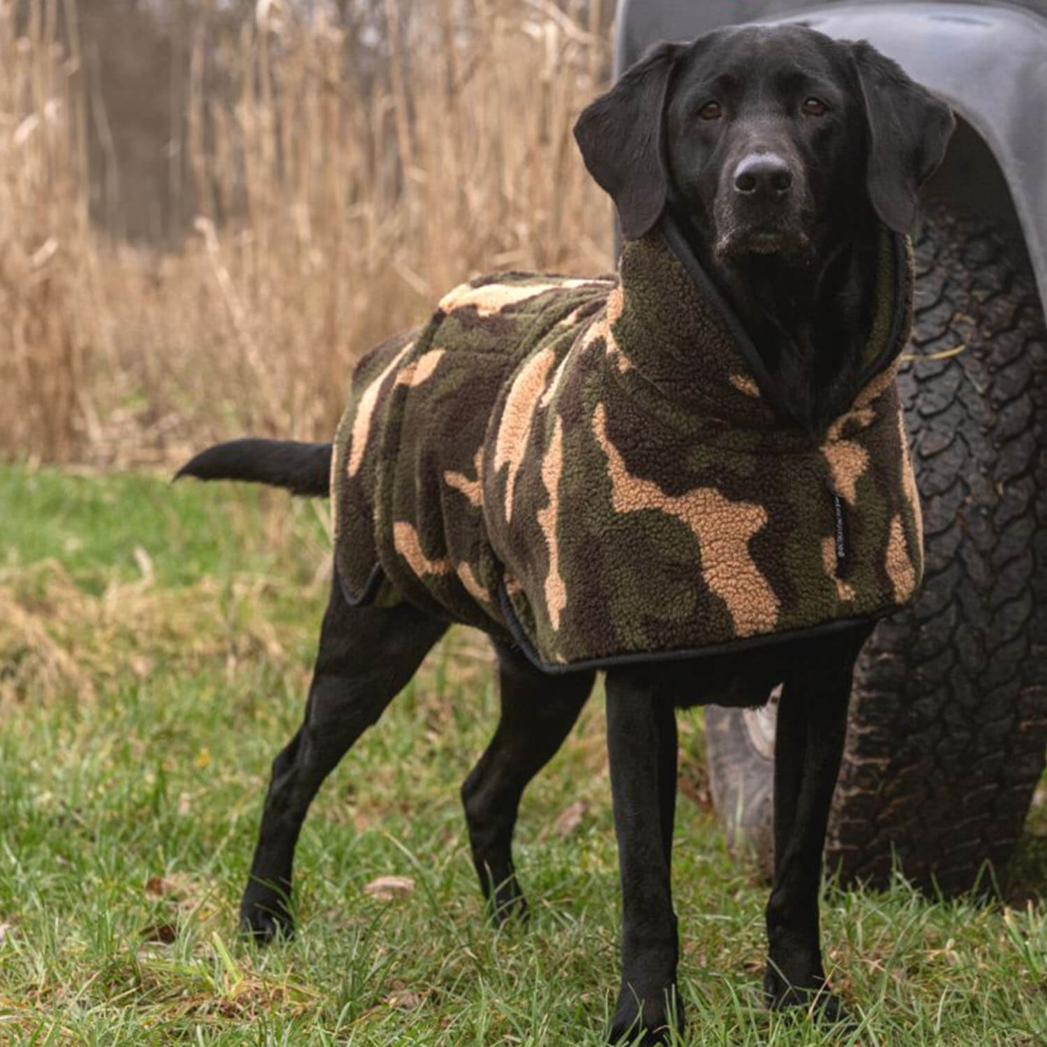 Mantellina per cani Actionfactory Warmup Classic (reversibile) - Accessori per cani