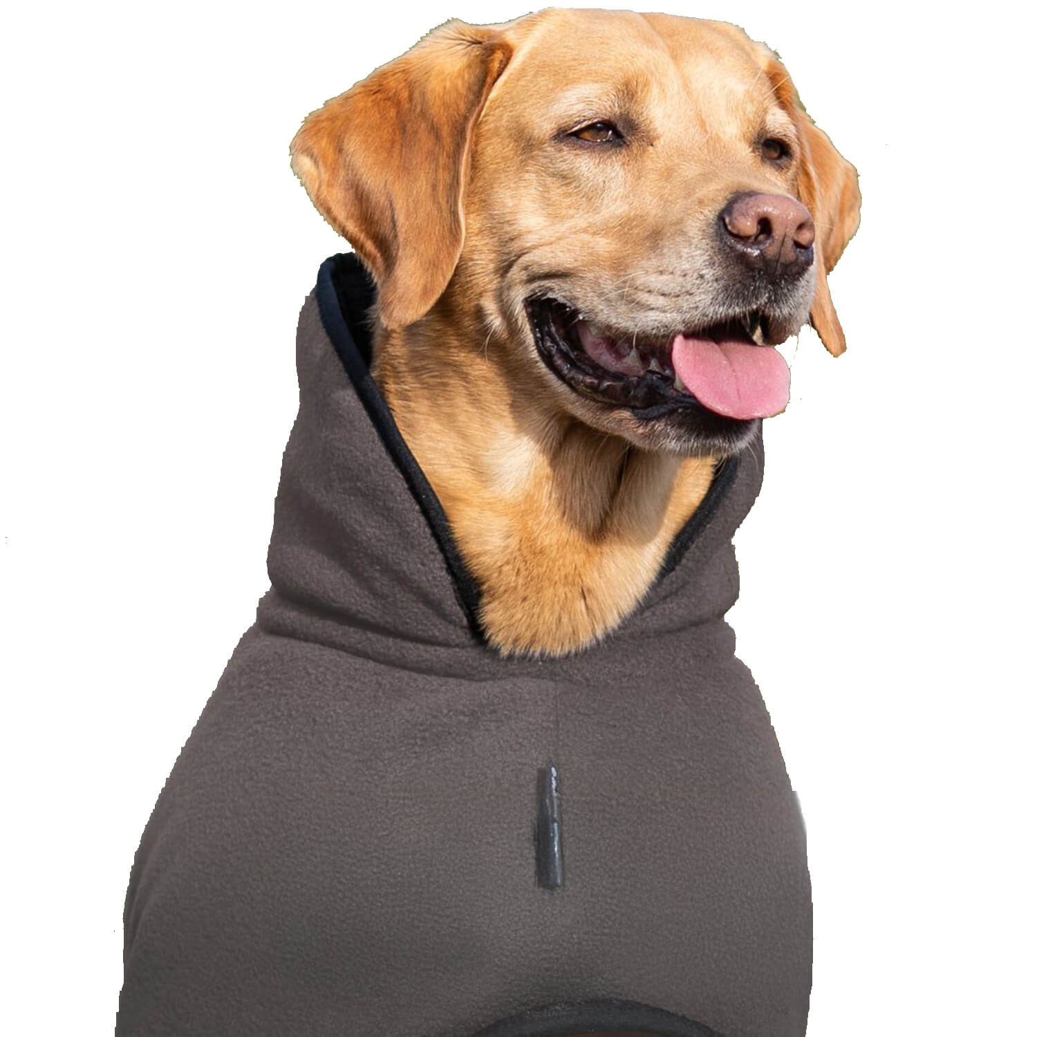 Mantellina per cani Actionfactory Warmup Classic (moka) - Cani da caccia