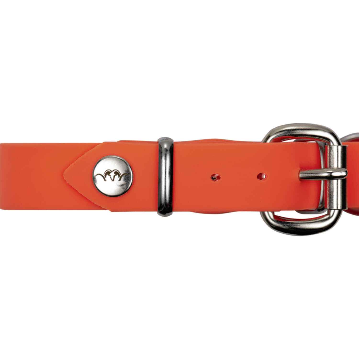  Blaser Collare professionale per cani (arancione)