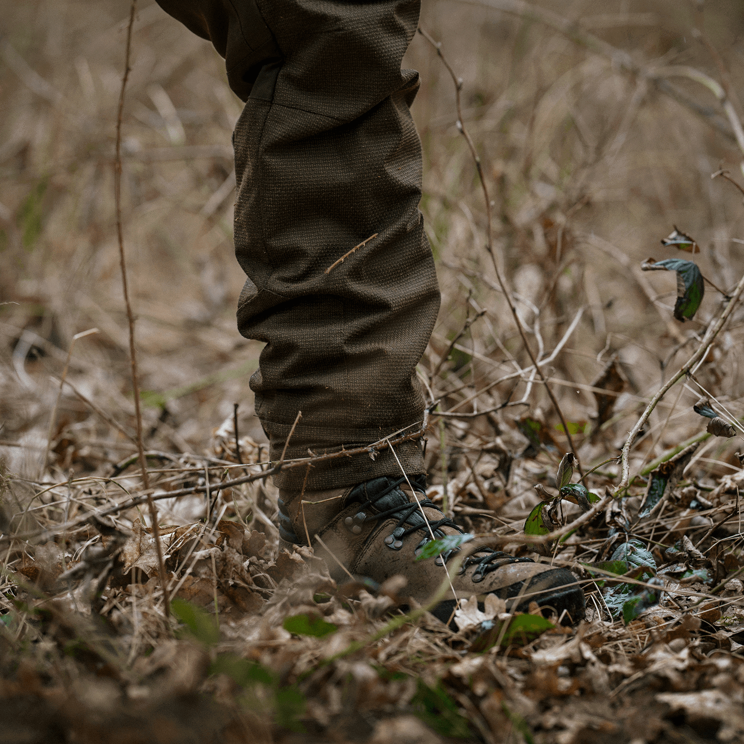 Härkila Jagdhose Vigor Pro Hybrid (Golden Willow Green)