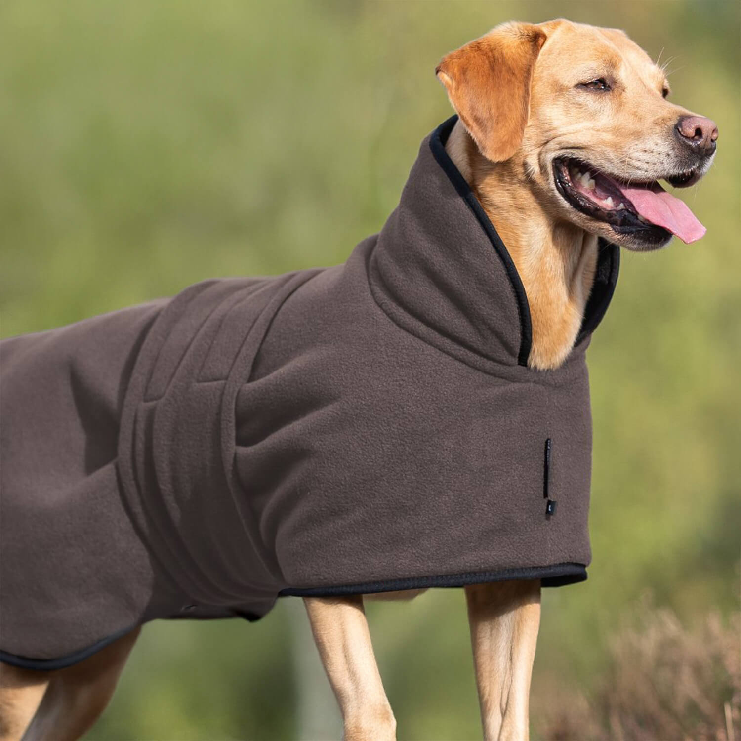 Mantellina per cani Actionfactory Warmup Classic (moka)