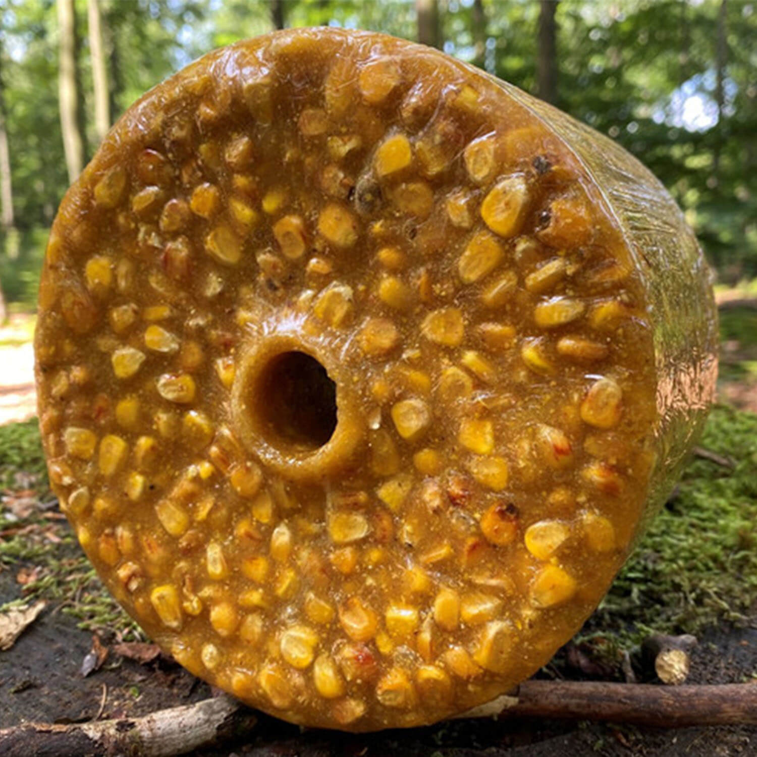 Wildlutscher Leccatura speciale di mais dolce