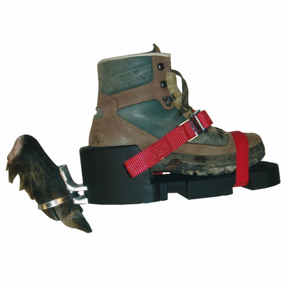  WAIDWERK Scarpa da tracking classica - Cani da caccia