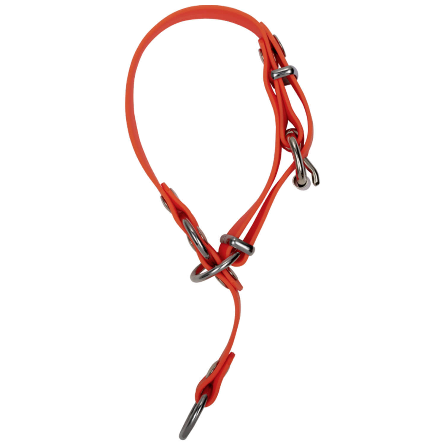  Blaser Collare professionale per cani (arancione)