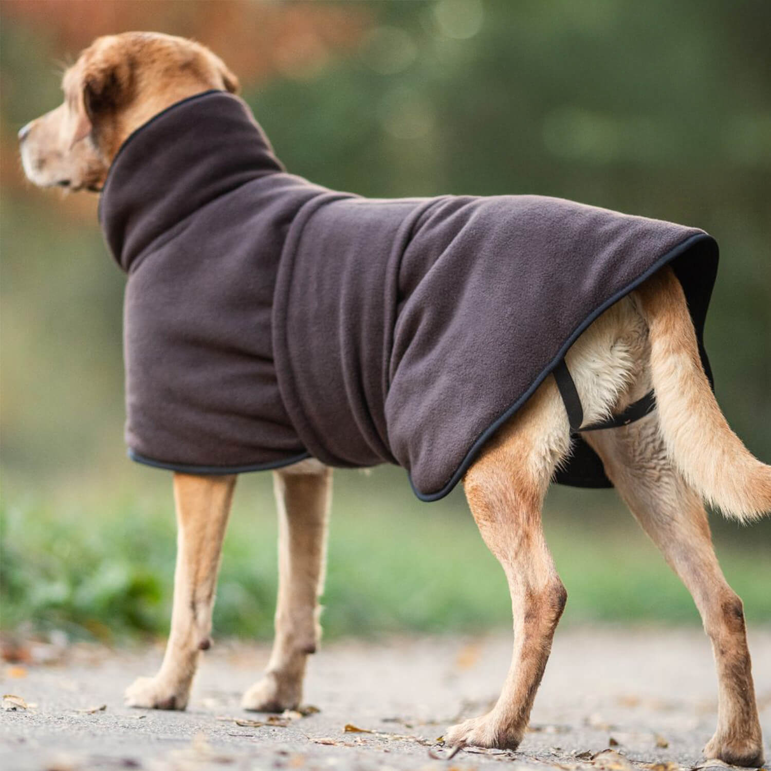 Mantellina per cani Actionfactory Warmup Classic (moka)