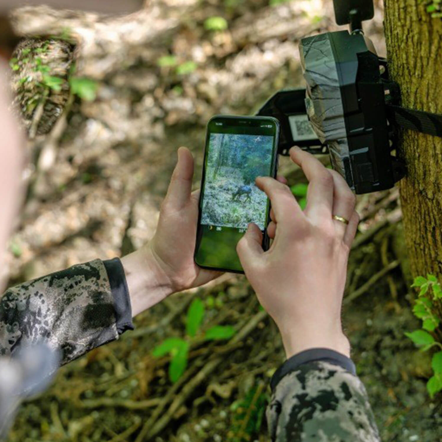 Hikmicro Wildkamera T16