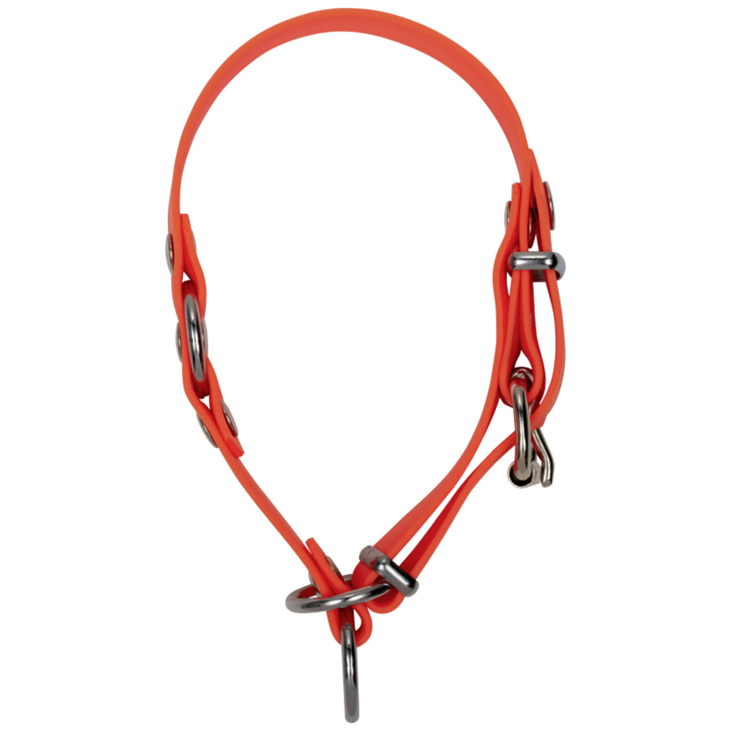  Blaser Collare professionale per cani (arancione) - Cani da caccia