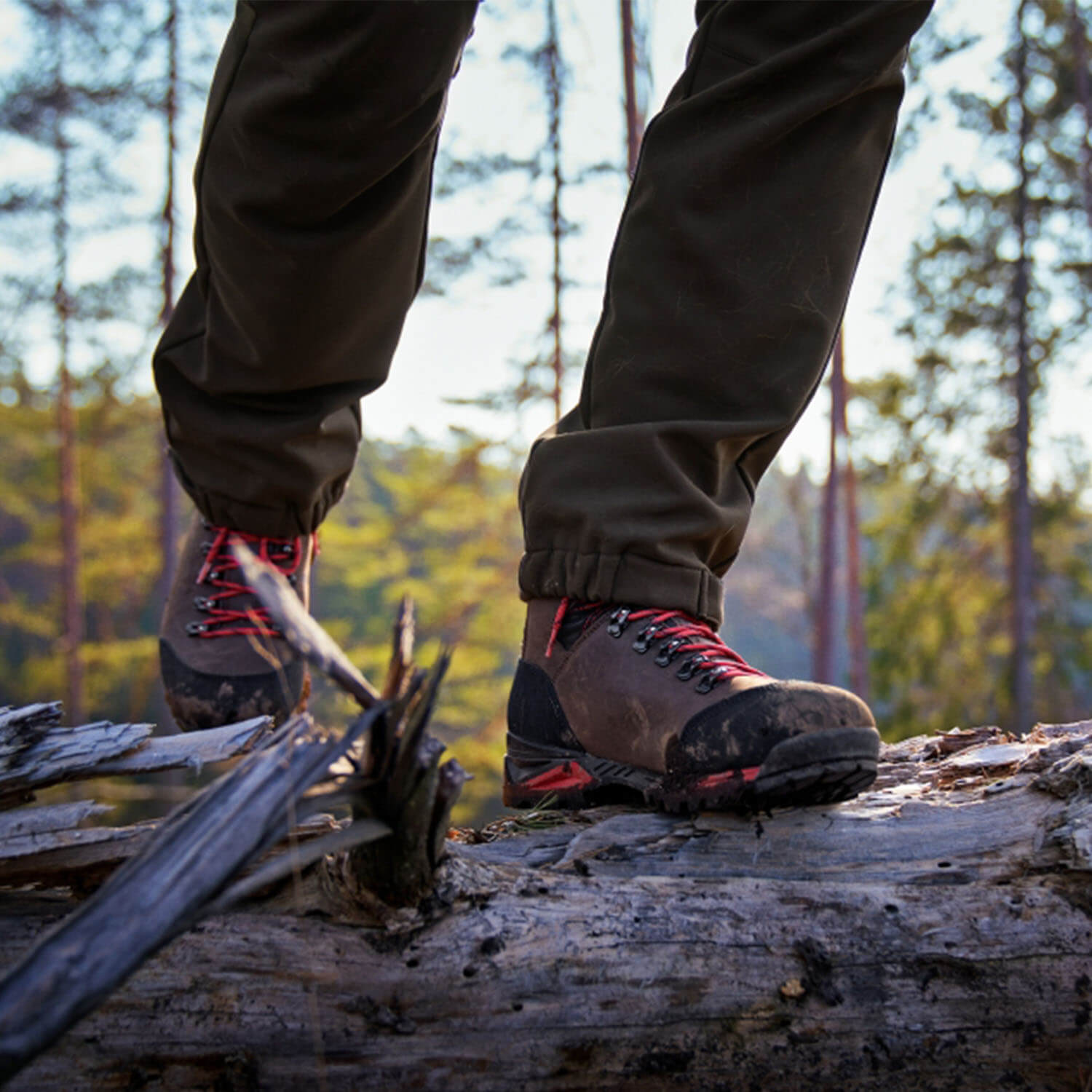  Härkila Stivali da caccia Forest Hunter Mid GTX (Marrone scuro)