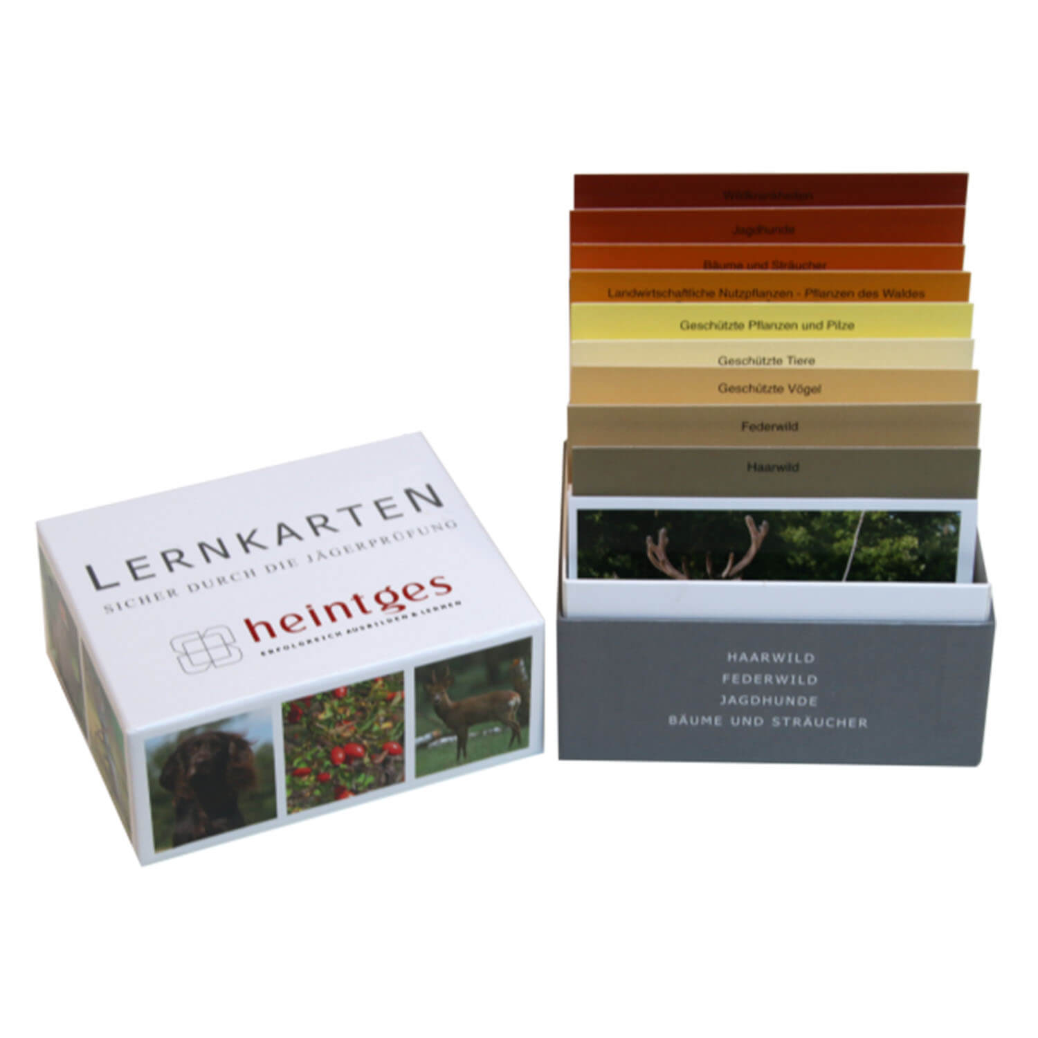  Heintges Cartoline per l'esame di caccia - Libri di caccia